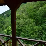 Valley * ترابزون