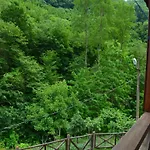 فيلة Valley ترابزون