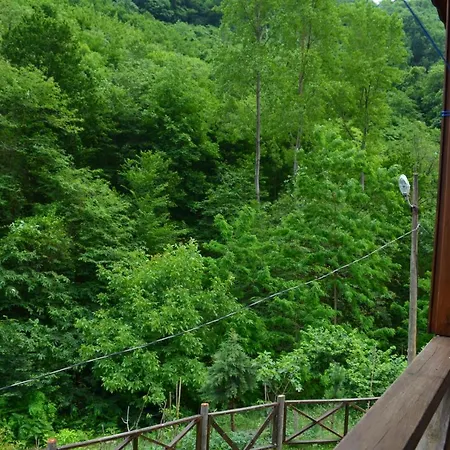 Villa Valley Trabzon