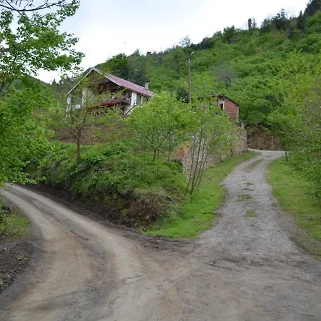 Valley Villa