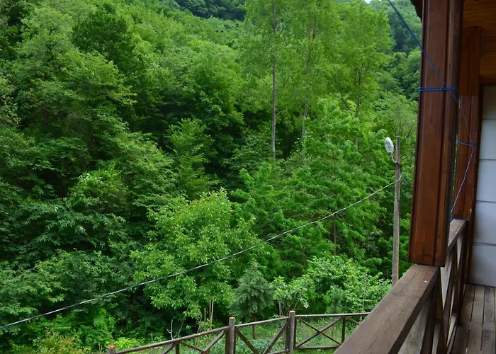 Willa Valley Trabzon